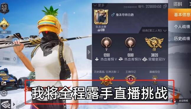 和平精英《葫芦娃》一体直装辅助嘎嘎稳